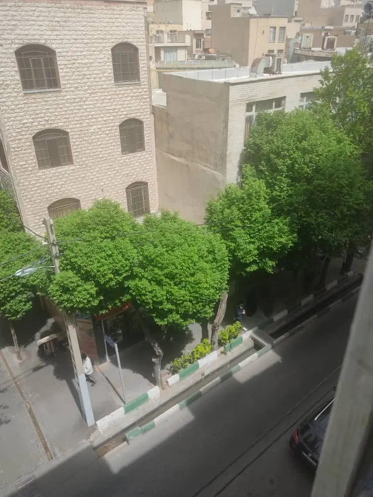 ۱۱۴ متر کلنگی و تجاری بر گلبرگ شرقی