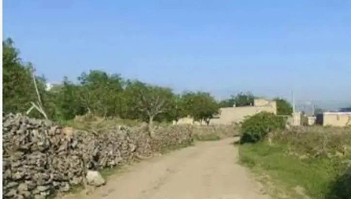 زمین باغی عالی