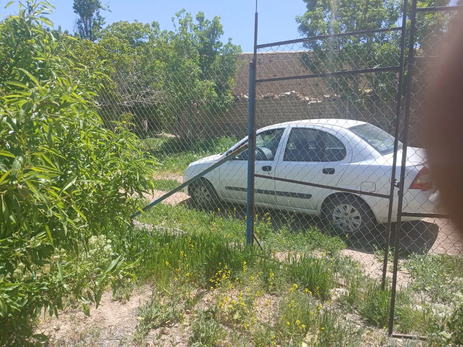 زمین ۵۰۰ متر