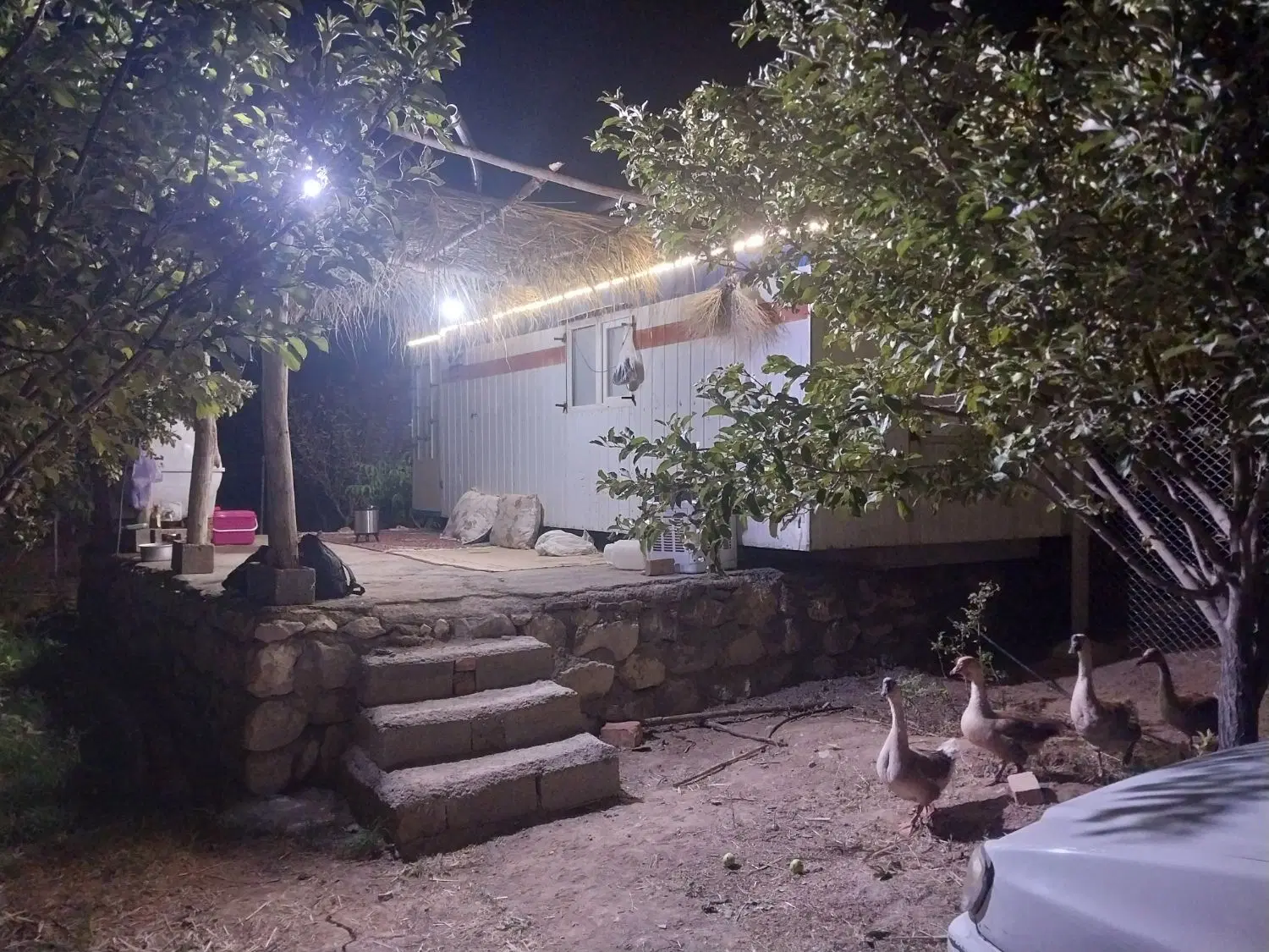 باغ و باغچه