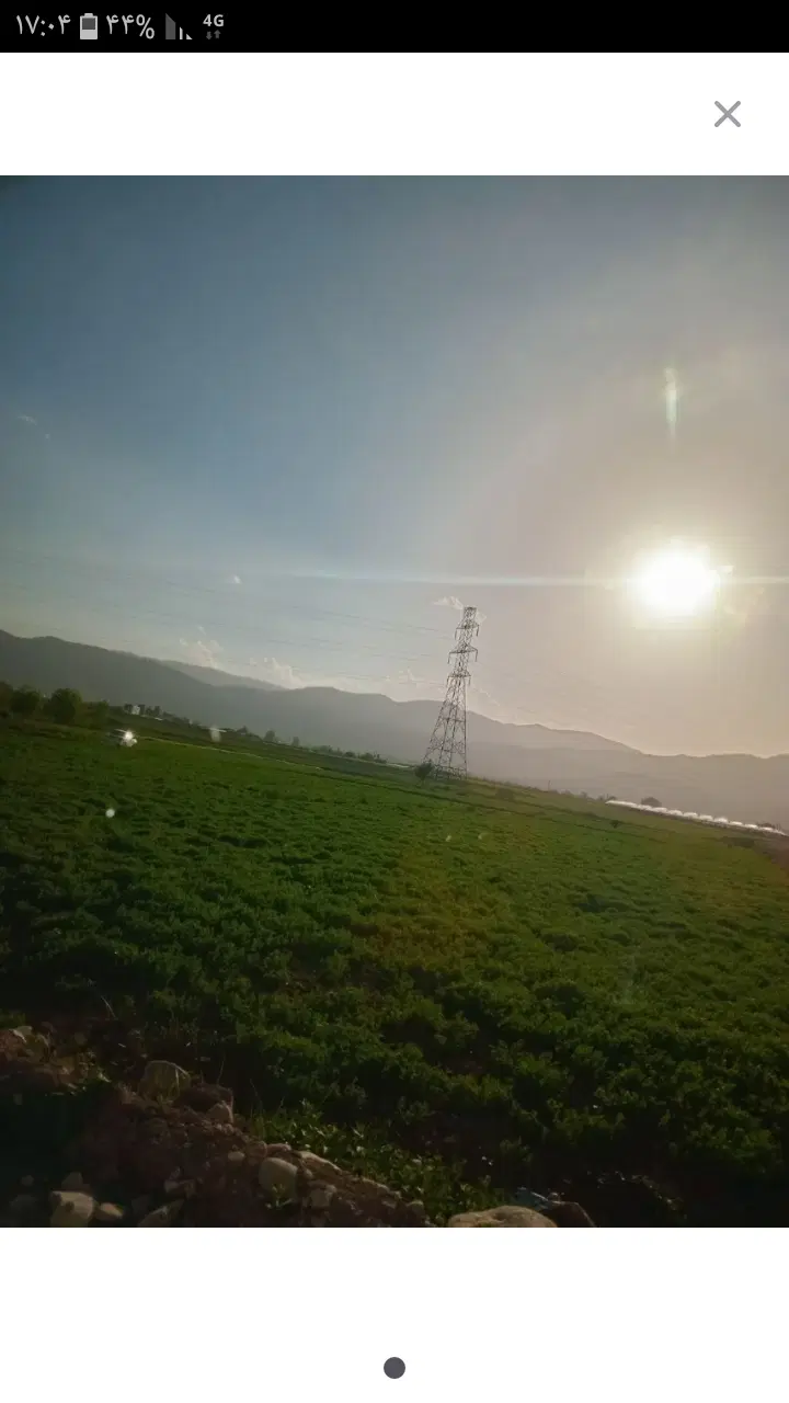 زمین کشاورزی