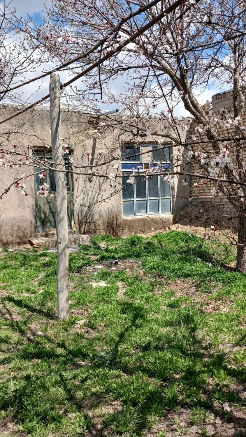 زمین در سراب