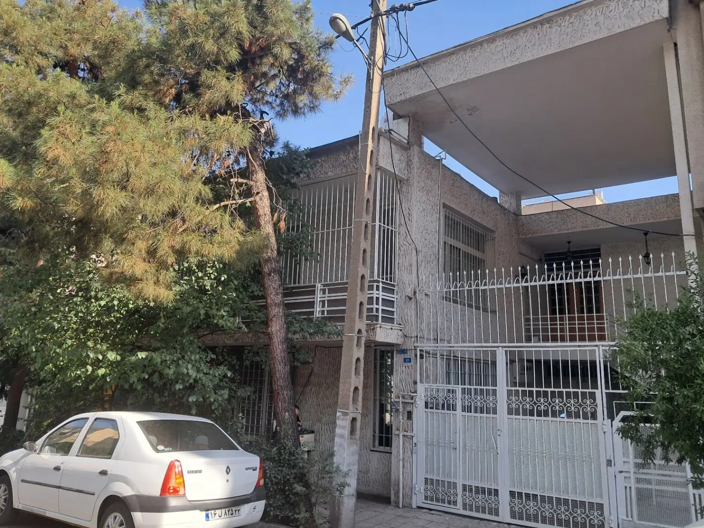 کلنگی قواره کوچک در جردن