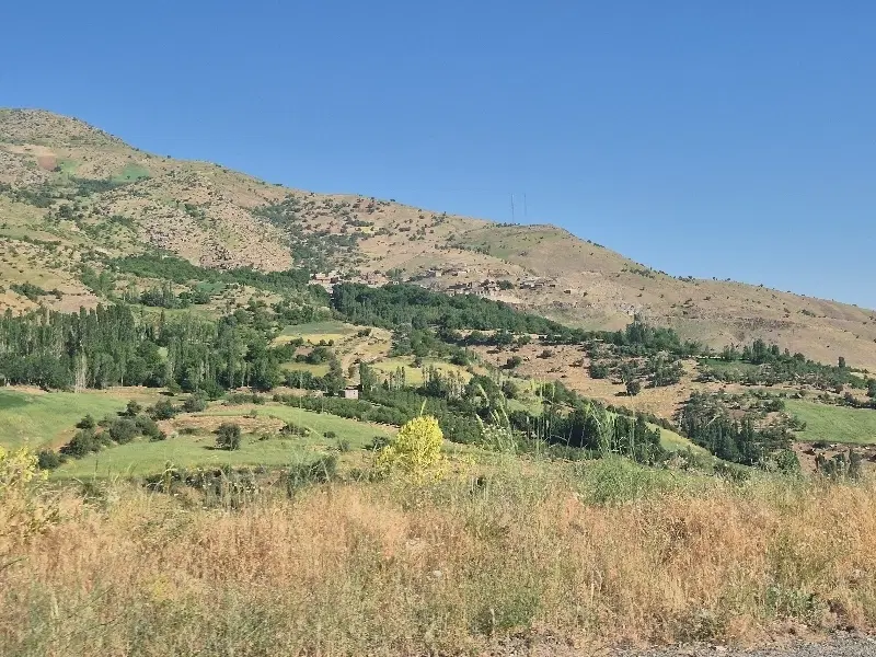 زمین ۲۰۰۰متری خام مابین قیلسون و کارخانه قارچ