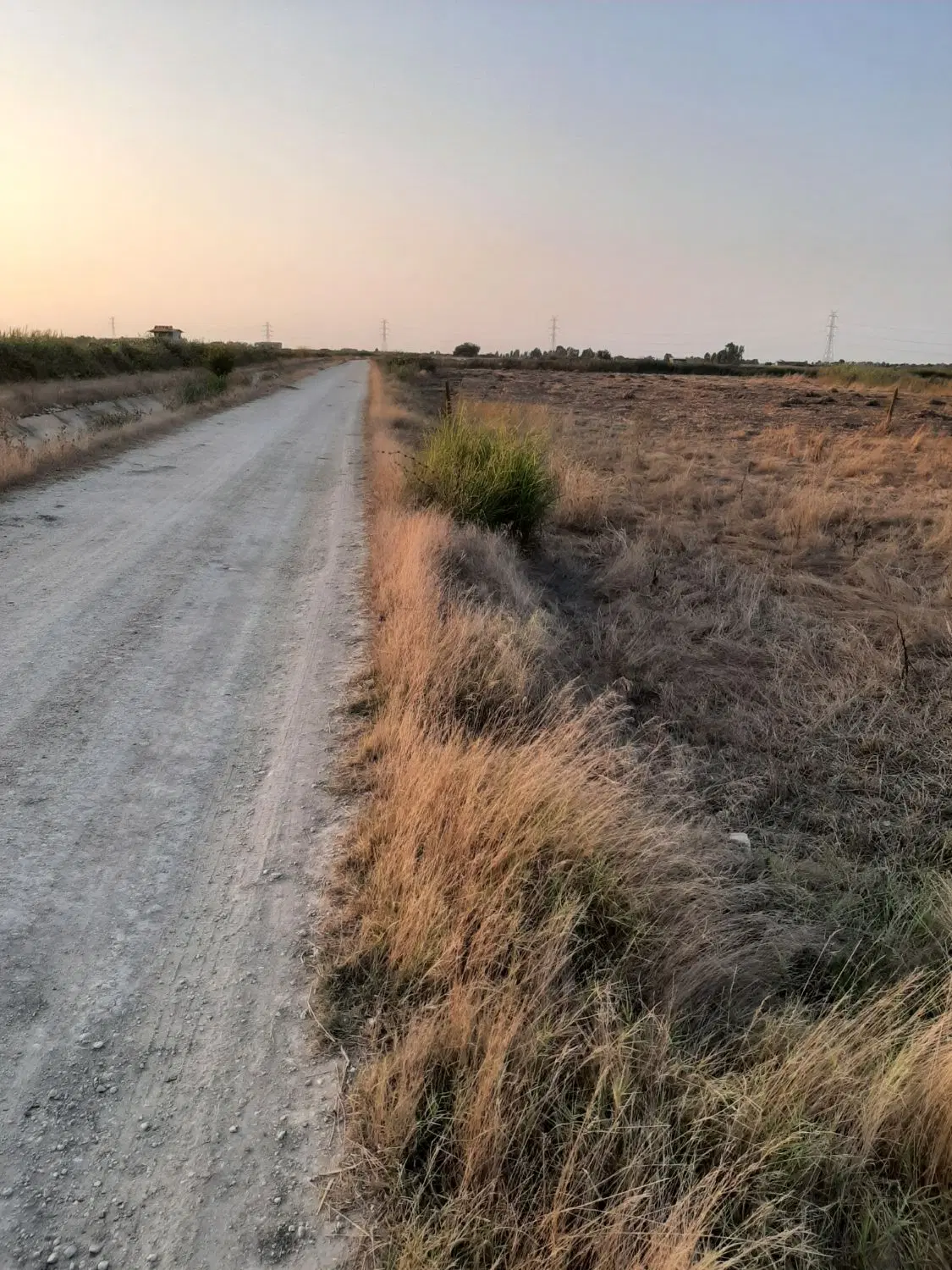 ۱۰۰۰مترزمین مناسب باغ وشالیزار