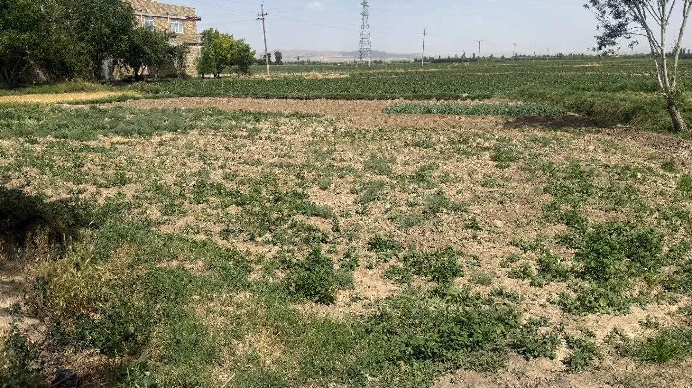 زمین ۶۰۰متری طرح هادی