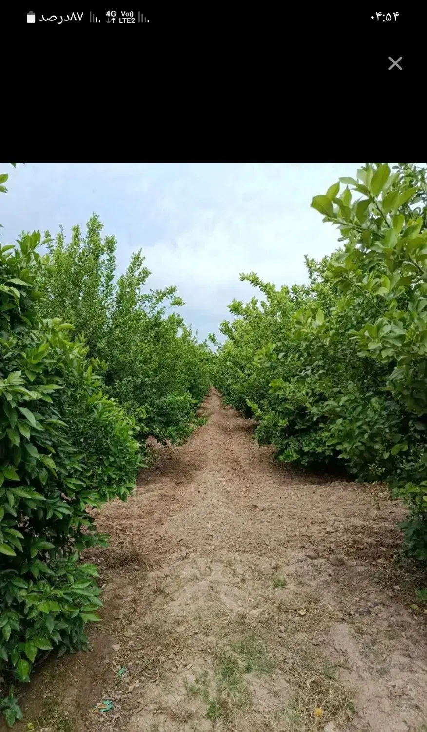 باغچه دزفول  ۵ هزار متر برق دار  اقساط ماهانه