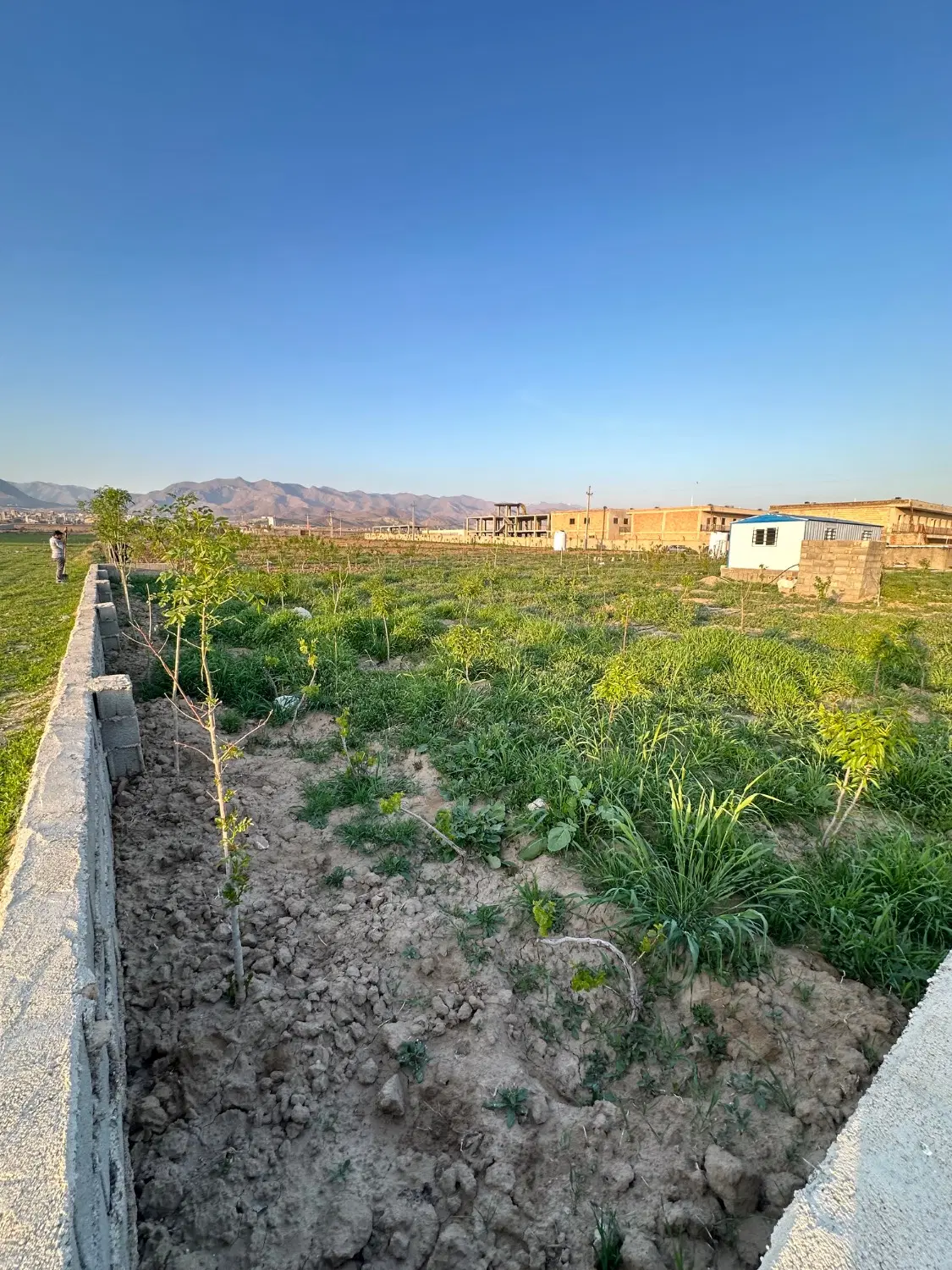فروش زمین مناسب باغ و باغچه با سند تکبرگ