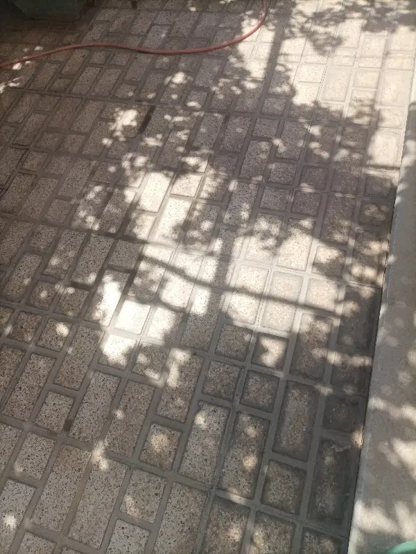 خانه اجاره در آیت الله غفاری