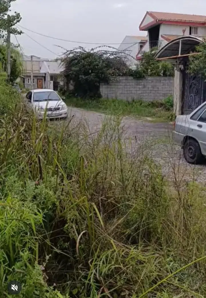 باغی داخل شهر