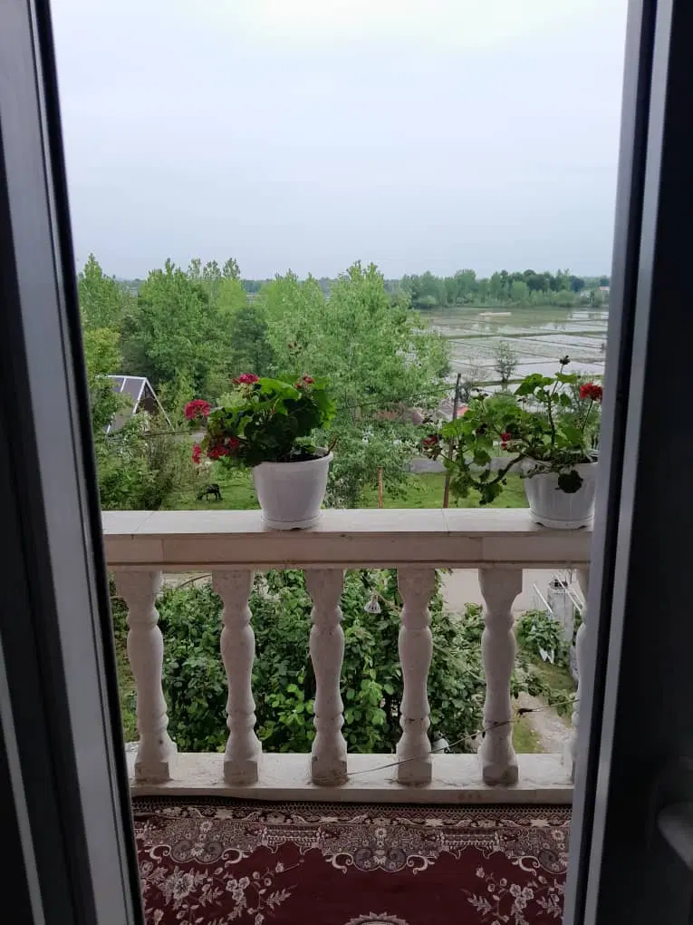 اجاره روزانه ویلا جنگلی در ماسال