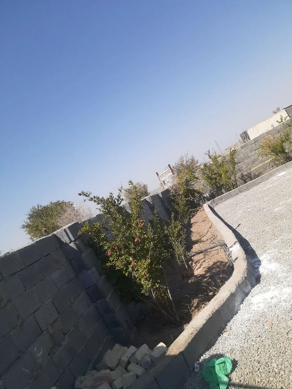 باغ
