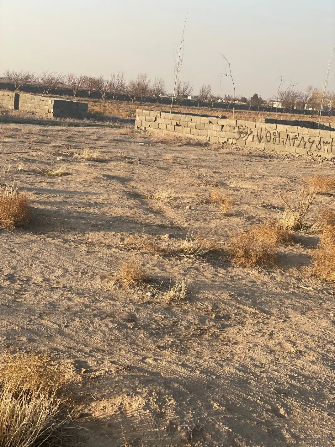 زمین برای باغچه و سرمایه گذاری