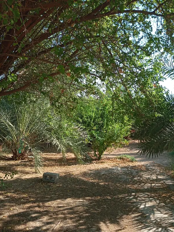 خونه باغ شهر مهر محله چاهو