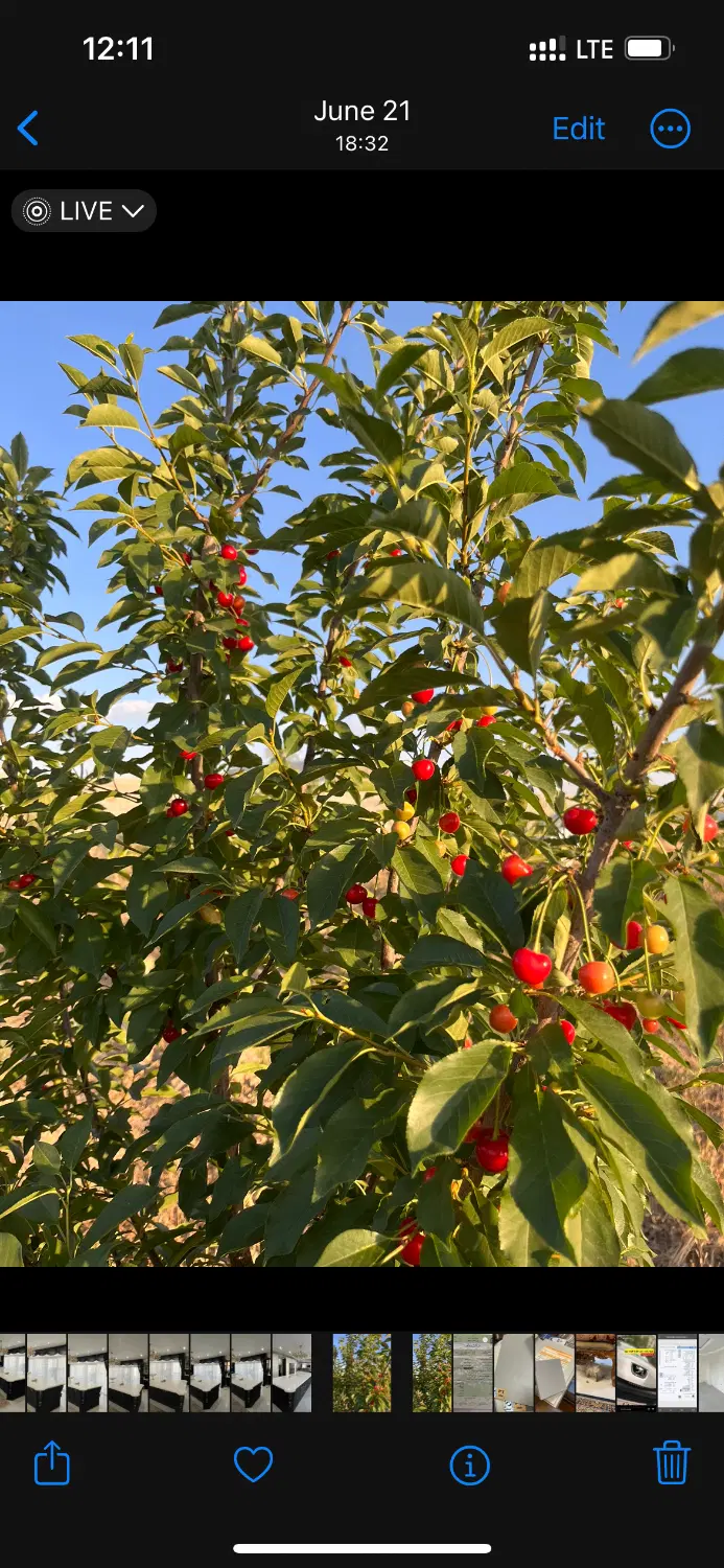 زمین اقساطی ویلایی آزاد مرزاباد