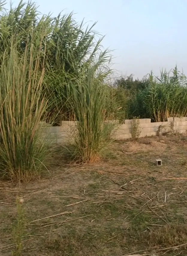 زمین روستای