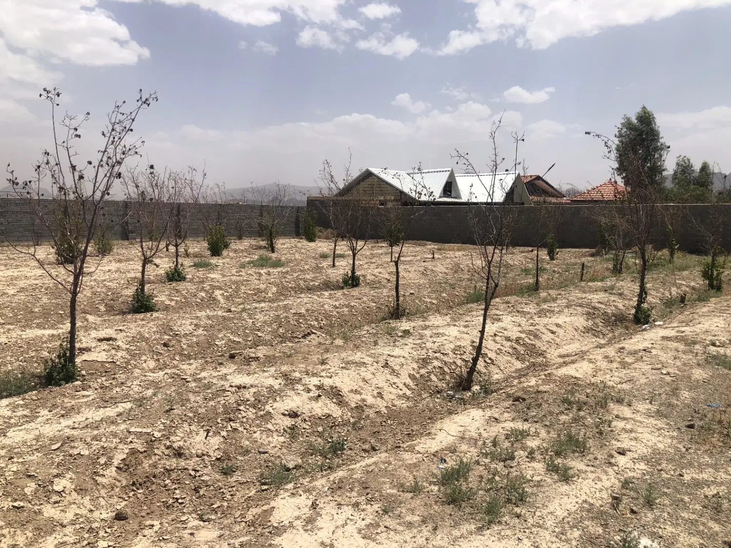 زمین باغی اصفهانک