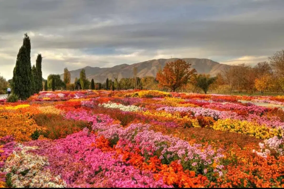 فروش زمین باغی با سند تک برگ عرصه واعیان