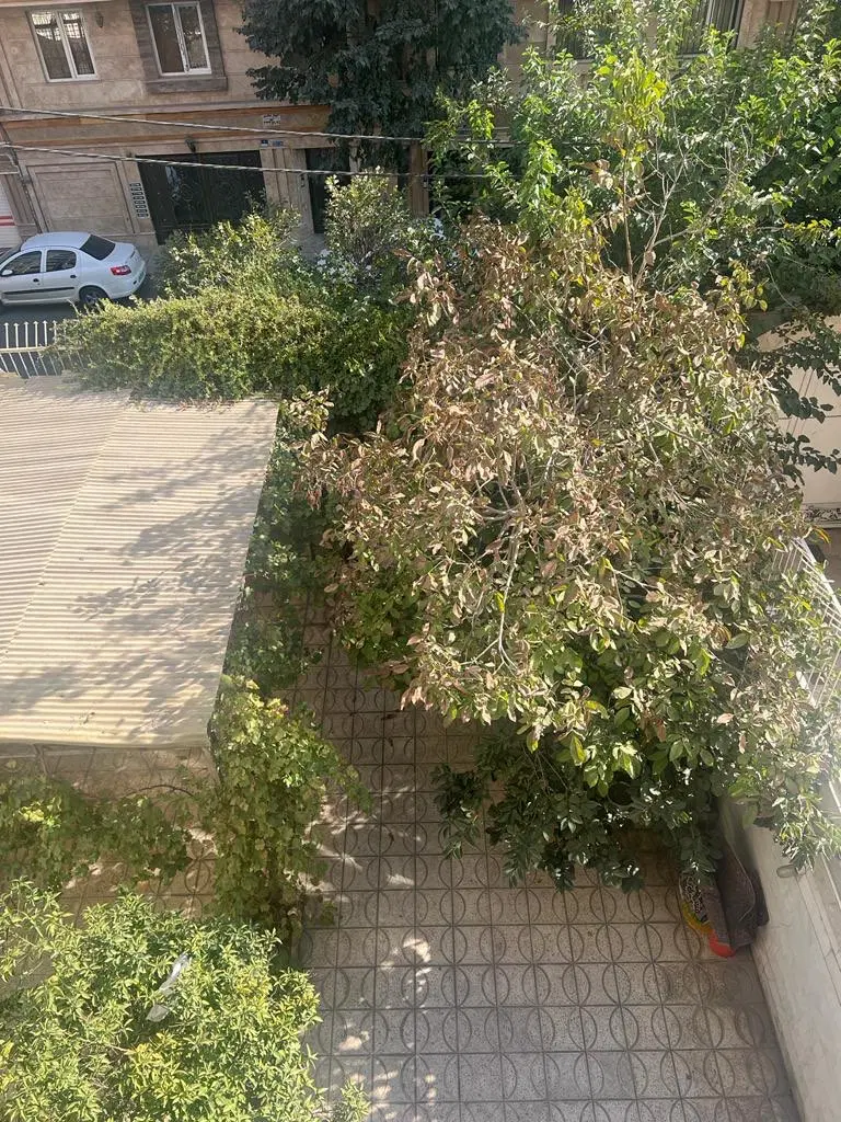 خانه ۴ طبقه قابل سکونت