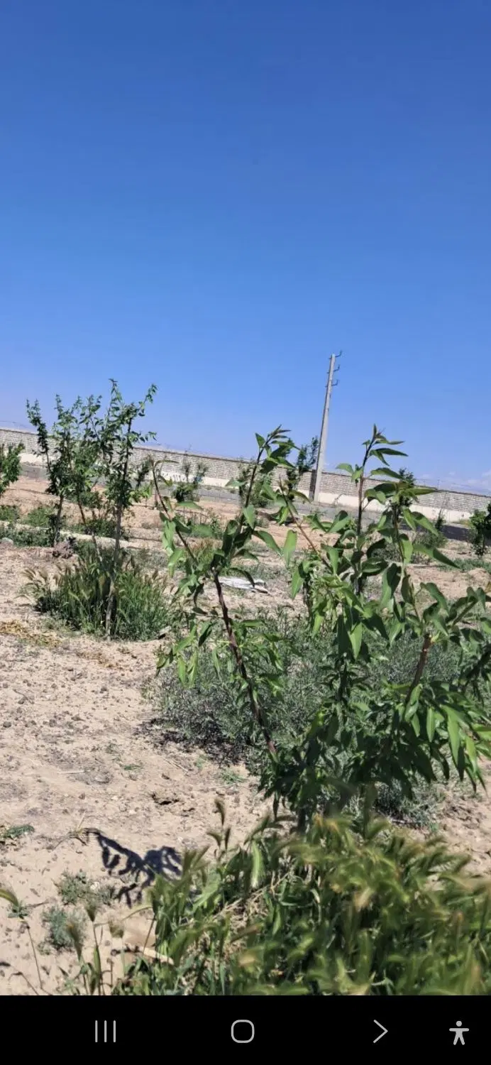 فروش باغچه سند دار باکمترین مبلغ درشهریار