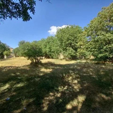 فروش باغ سند تک برگ ثبتی درهمدان روستای گوشلان