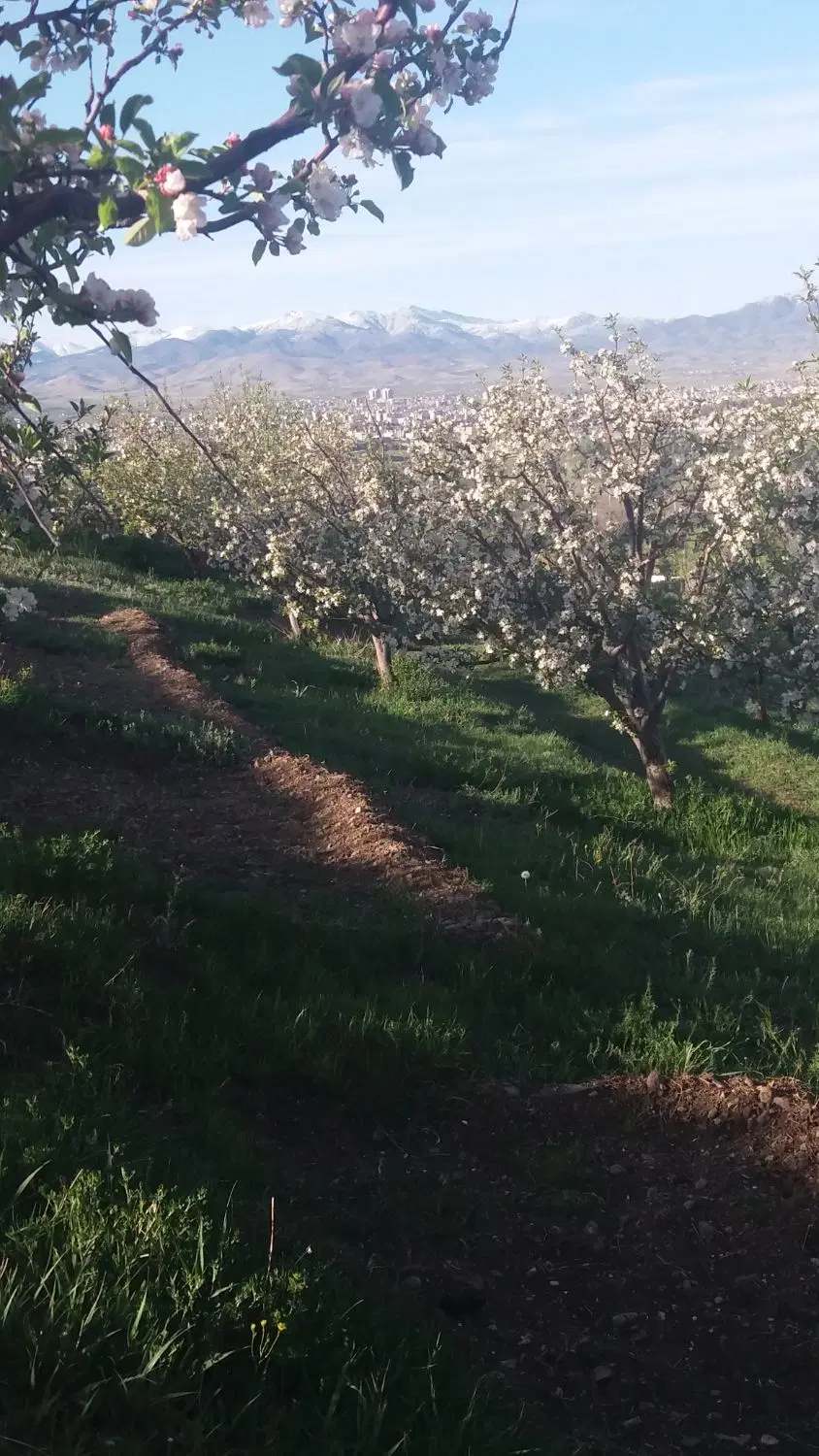 قطعه ویلایی در اهر