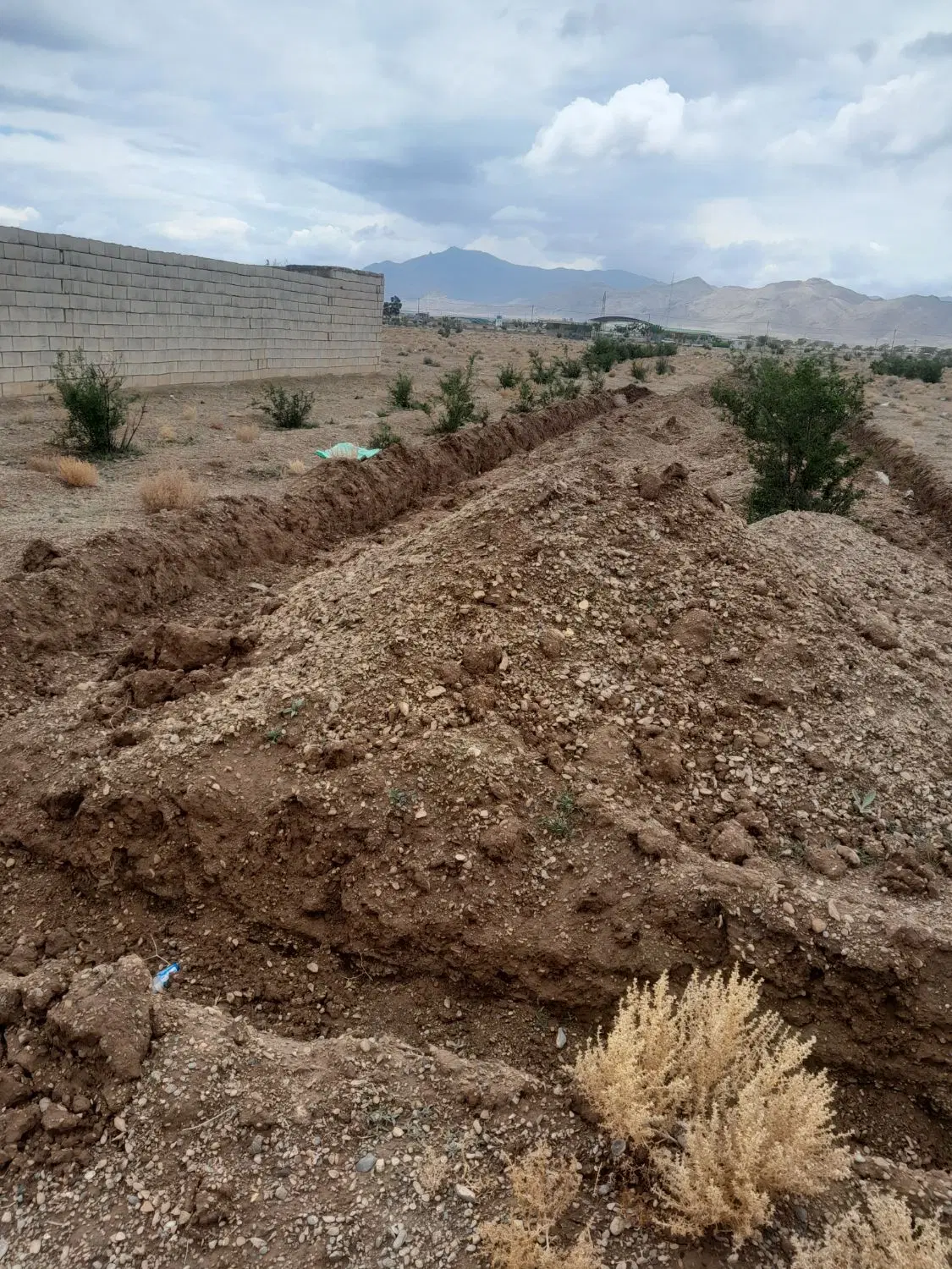 زمین باغی قسمت چهارم یزدانشهر