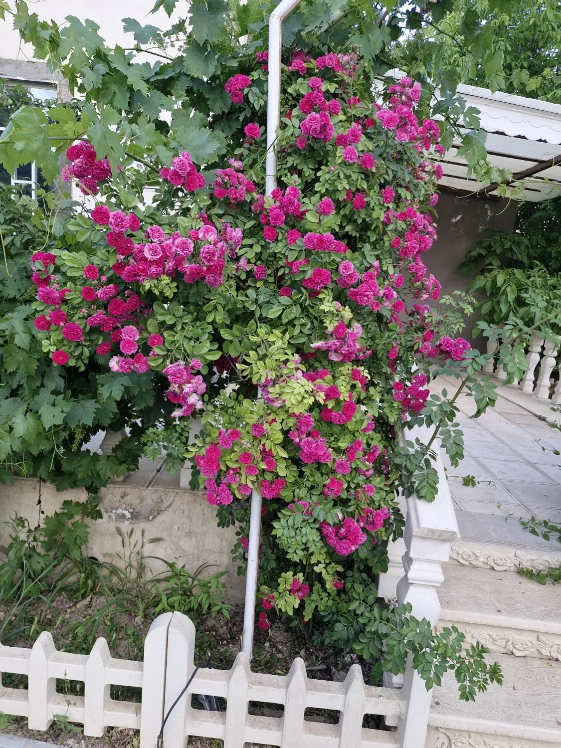 حاشیه جاده باغرود