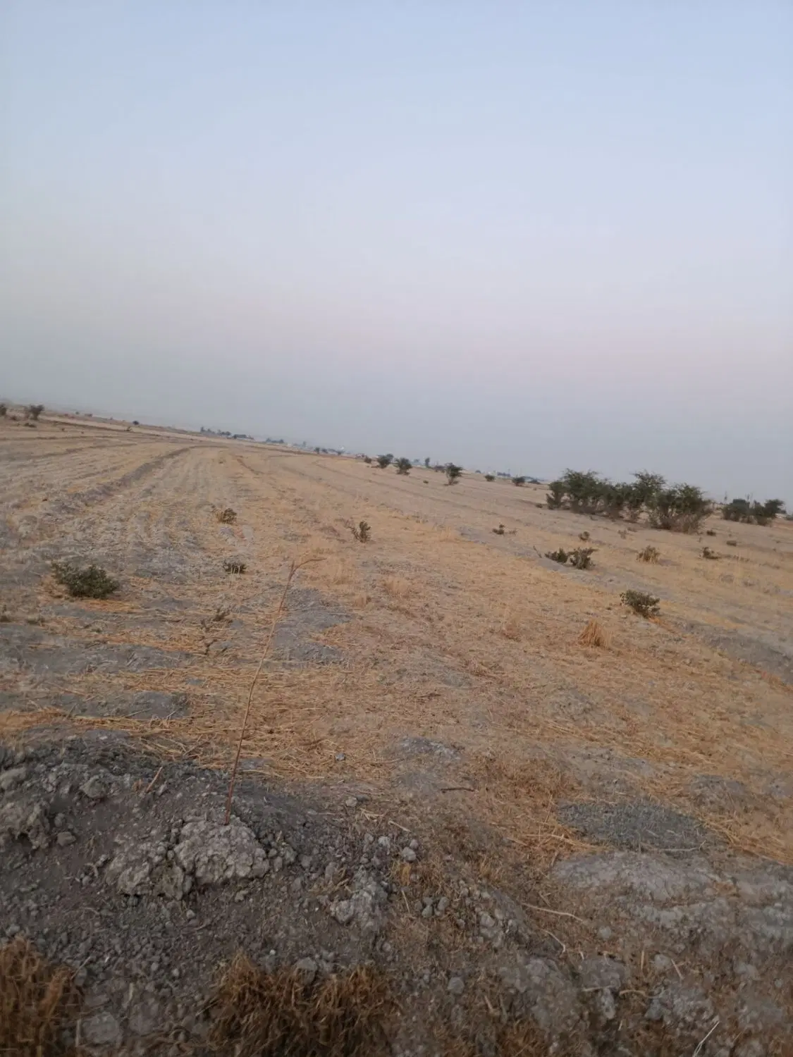 زمین کشاوزی