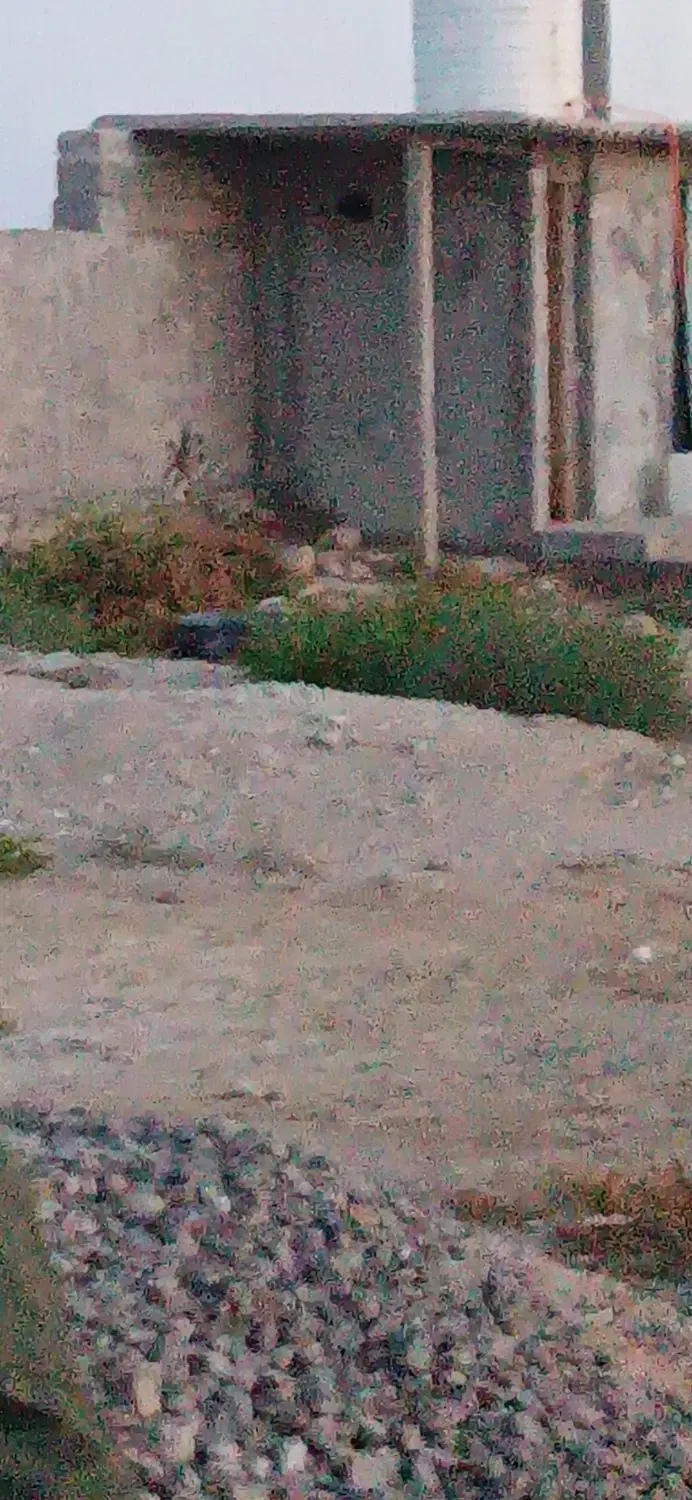 زمین فروشی بر اتوبان مهر به لامرد
