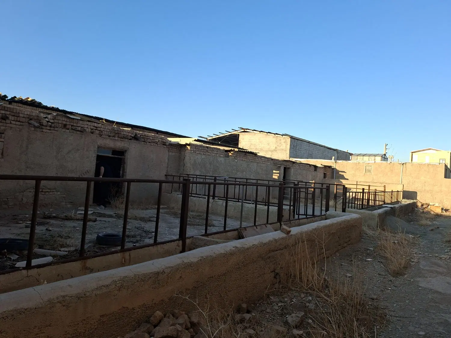 اجاره گاوداری ۴۸ راسی