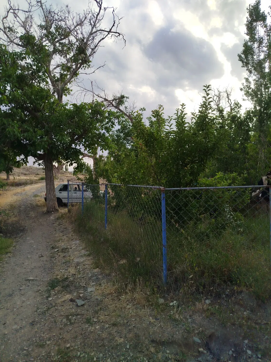 زمین در پستیای شاره