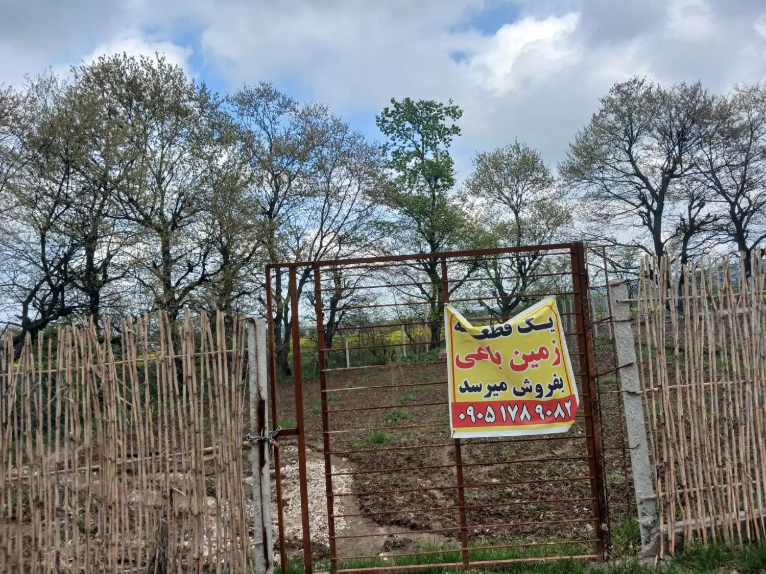 زمین باغی دارایه صند
