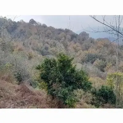 فروش زمین خارج از طرح