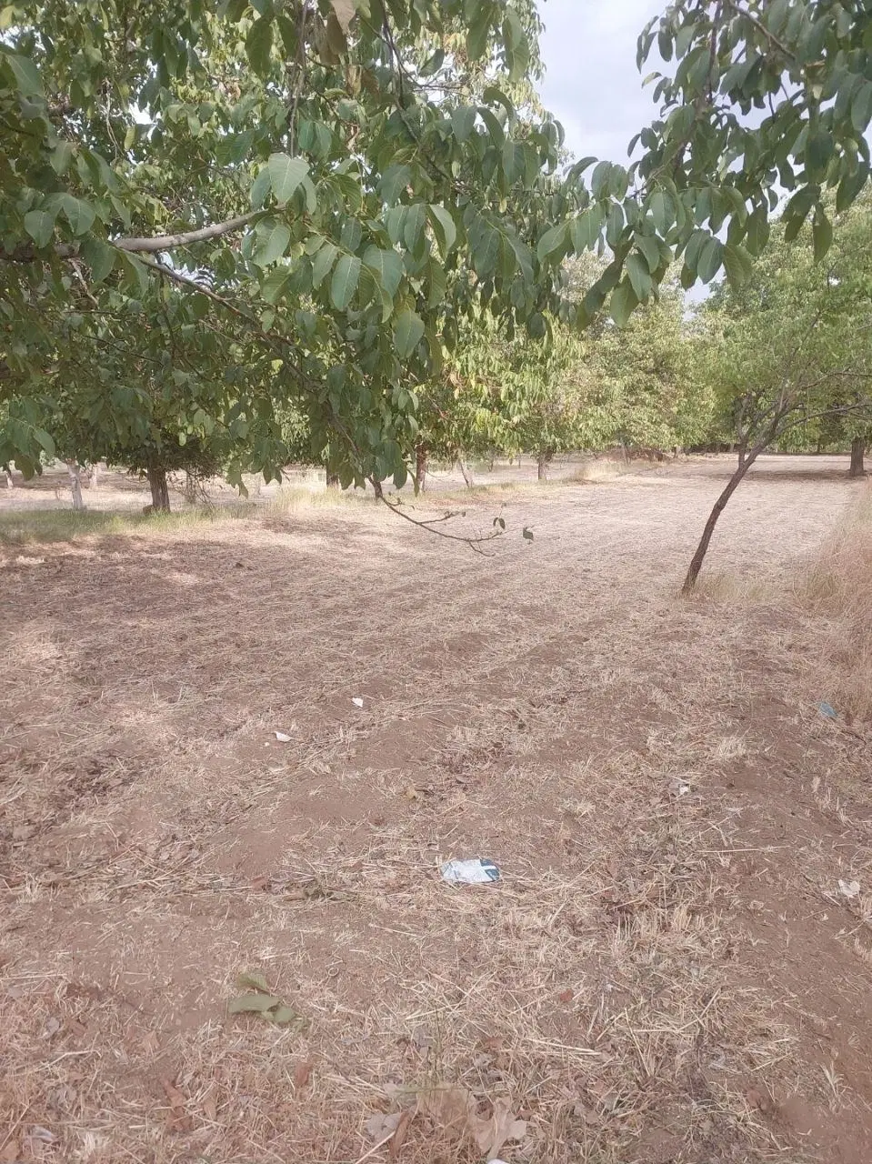 زمین‌کشاورزی حسین آباد