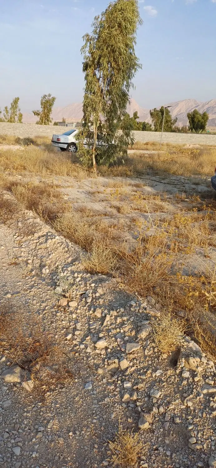 فروش زمین باغ شهری