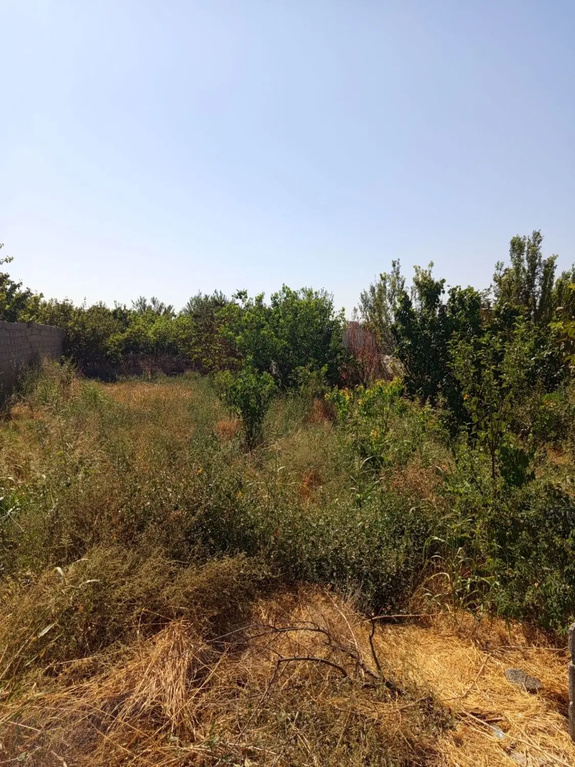 باغ ۳۰۰ متری _سنددار _لوکیشن خوب