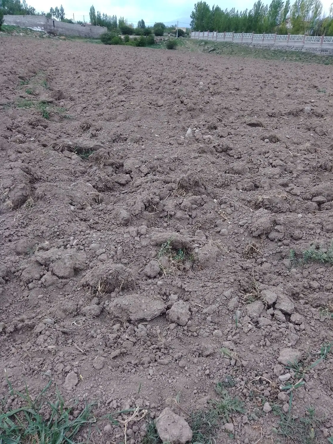 زمین کشاورزی روستای کلور
