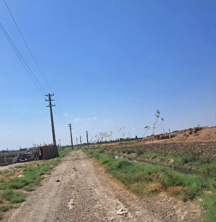 زمین باشند تکبرگ