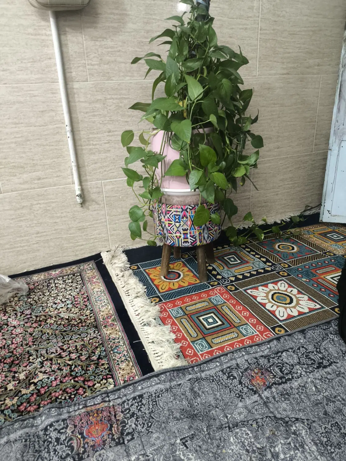 شیروانی 70متردستغیب