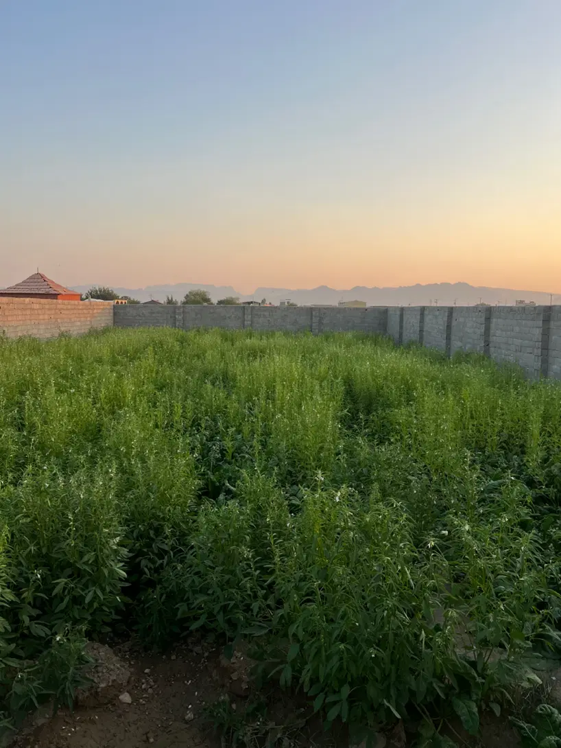 باغ چهاردیواری دستجا مرکز دهستان