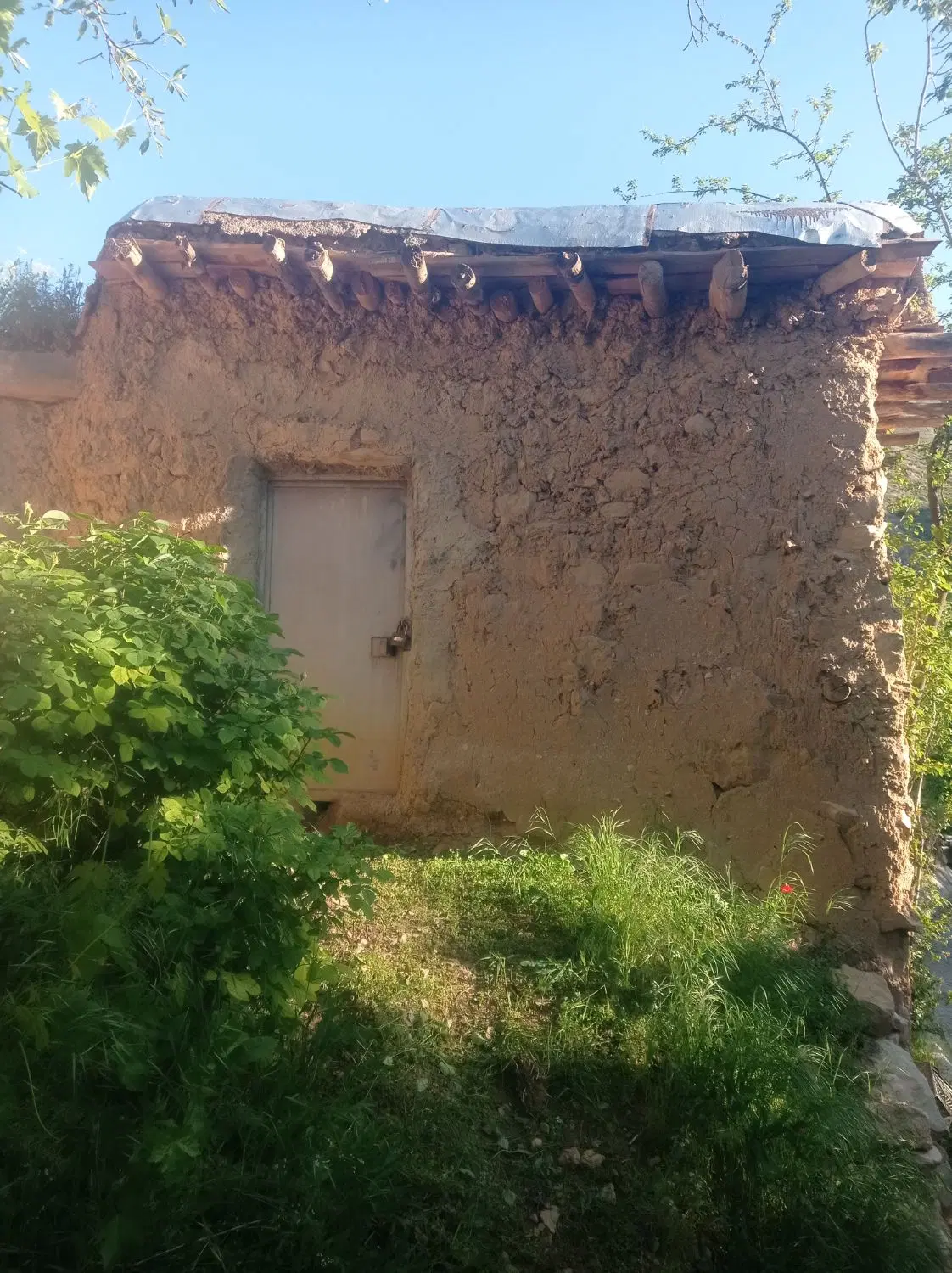 زمین.خالصه