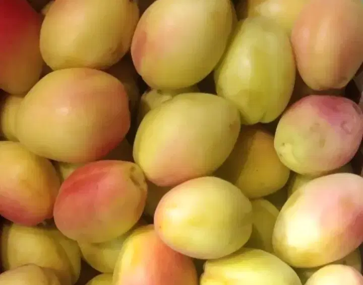 اجاره غرفه میوه فروشی و قصابی