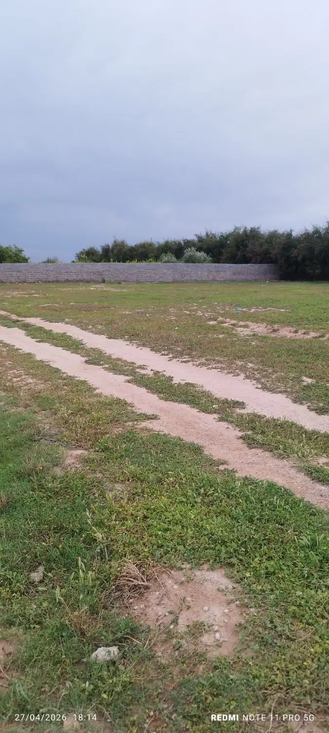 زمین باغچه ای