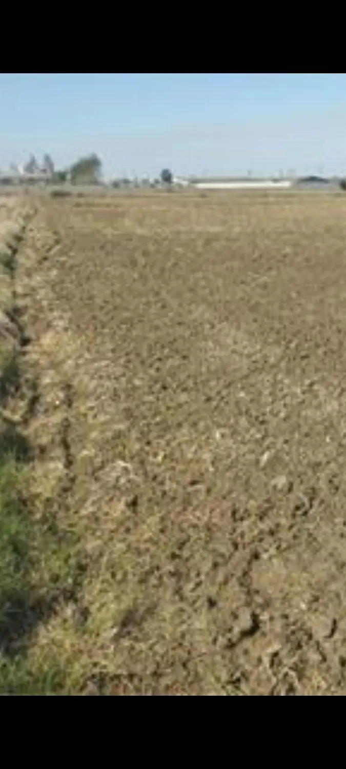 زمین دوبر برای طرح وباغ