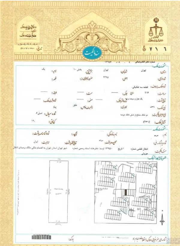 زمین جنوبی دونبش
