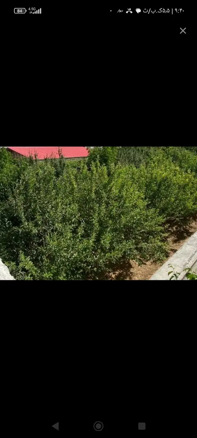 فروش خونه باغ قدیمی باچاه آب استخر