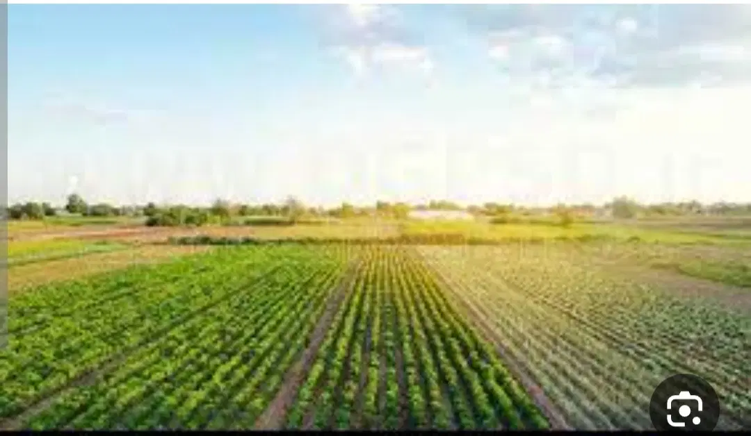 اجاره زمین کشاورزی