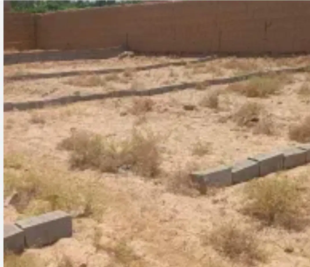 زمین ‌تفکیکی در سپاهانشهر، مرق،بهارستان