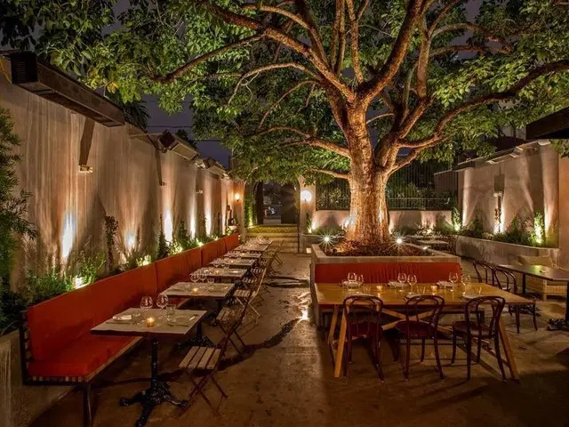 کافه ۵۰۰ متری بر اصلی سمیه